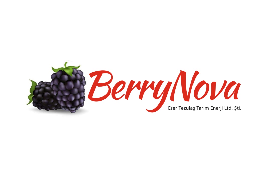 Site logo