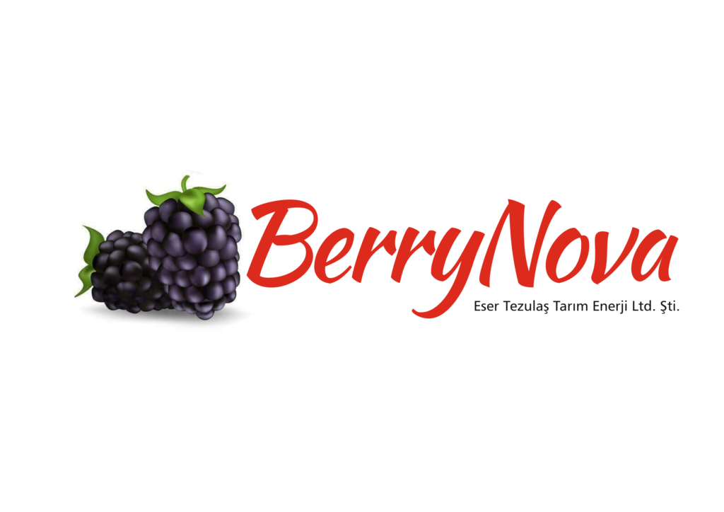 Site logo